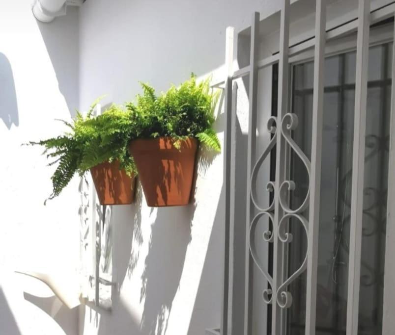 La Marieta, Casita Acogedora Y Centrica Villa Castilleja de la Cuesta Exterior photo